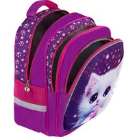 Школьный рюкзак BRAUBERG Kids. Humble Cat 273176