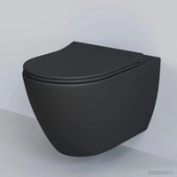 Сиденье для унитаза Ambassador Queen 112T20201S (черный матовый)