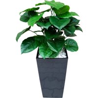 Искусственное растение Forgarden Филодендрон BN11137