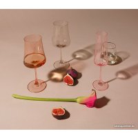Набор бокалов для шампанского Stenova Home Astoria Rose 611015 (2 шт)