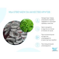 Надувной круг на шею Roxy Kids Fairytale Fox RN-005