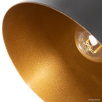 Светильник Arte Lamp Thomas A7032SP-1BK