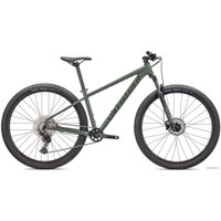 Велосипед Specialized Rockhopper Elite 29 M 2022 (Gloss sage green/Oak green)