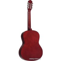 Акустическая гитара Terris TC-390A NA