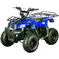 Квадроцикл Motoland ATV Rider (синий) в Могилеве