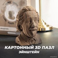 3Д-пазл QBRIX Эйнштейн