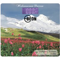 Напольные весы Beon BN-1106