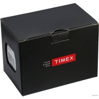 Наручные часы Timex TW2T35100