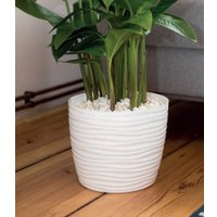 Кашпо Form-Plastic Sahara 3091-011 (белый)