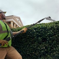 Высоторез Greenworks PH662T 2301607 (без АКБ)