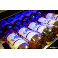 Винный шкаф Cold Vine C110-KBT2