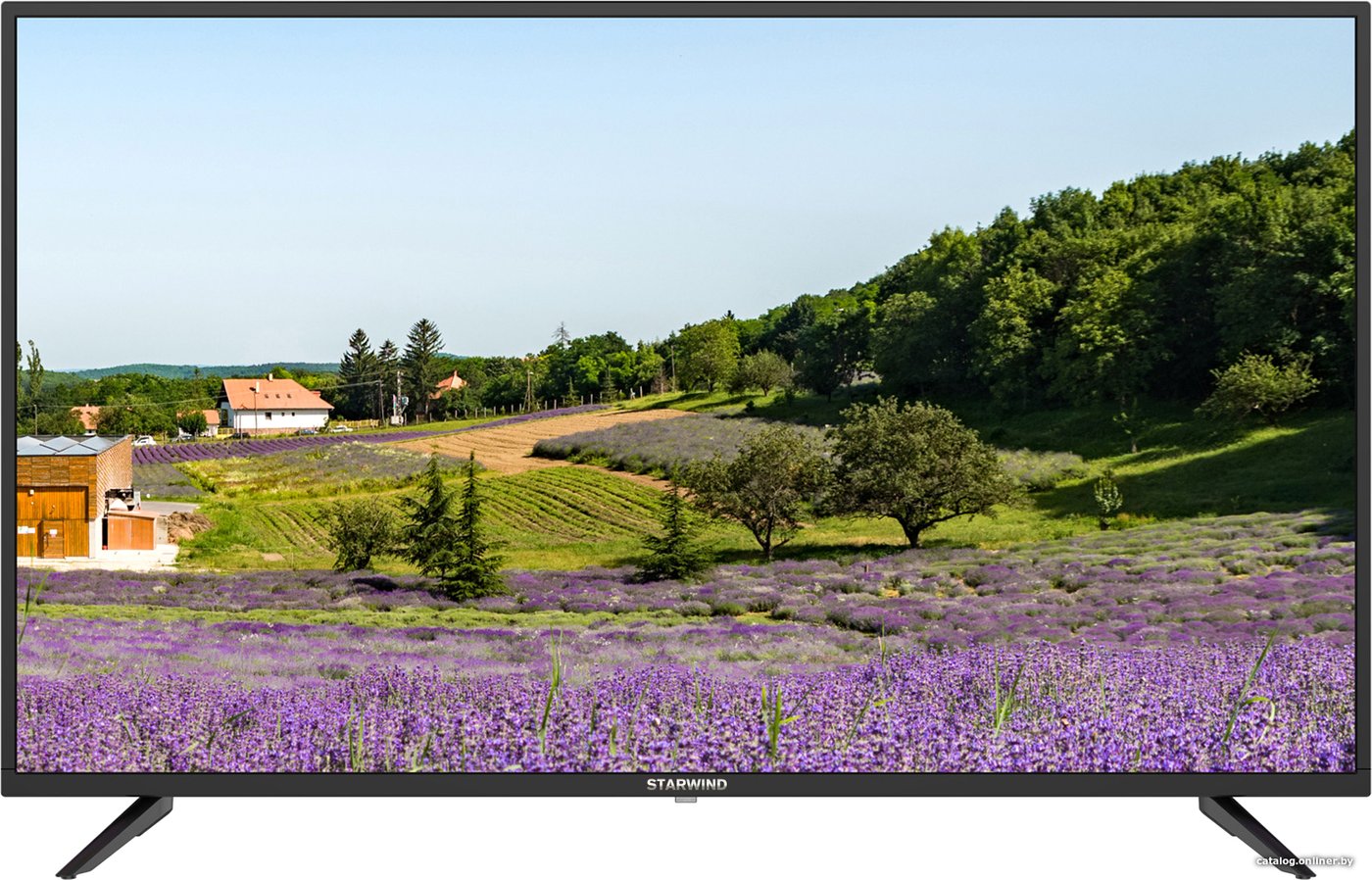 Телевизор StarWind SW-LED43SB300