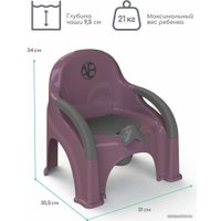 Детский горшок Amarobaby Baby chair AB221105BCh/22 (фиолетовый)