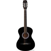 Акустическая гитара Terris TC-3805A BK