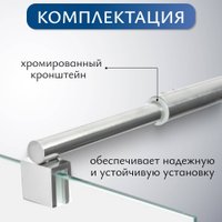 Душевая стенка Saniteco Walk-In SN-W6TC100 (100x200, прозрачное стекло, хромированный профиль)