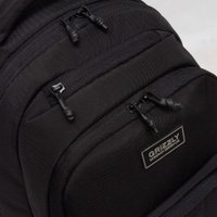 Школьный рюкзак Grizzly RU-530-6 (черный)