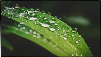 Дисплей для видеостен Dahua LS550UEH-UG