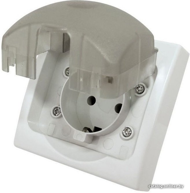 Розетка TDM Electric Вуокса SQ1803-0108