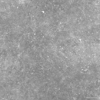 Керамогранит (плитка грес) Foir Group Sabatino Anthracite 600x600x2 (матовая) в Пинске