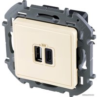 Розетка USB Legrand Inspiria 673761