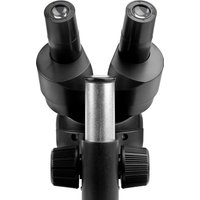 Детский микроскоп Микромед Атом B20x 31903