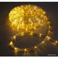 Дюралайт Luazon 1589826 10 м (теплый белый)