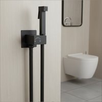 Гигиенический душ Lauter Rainix 21LT7712BM
