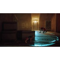  Stray для Nintendo Switch