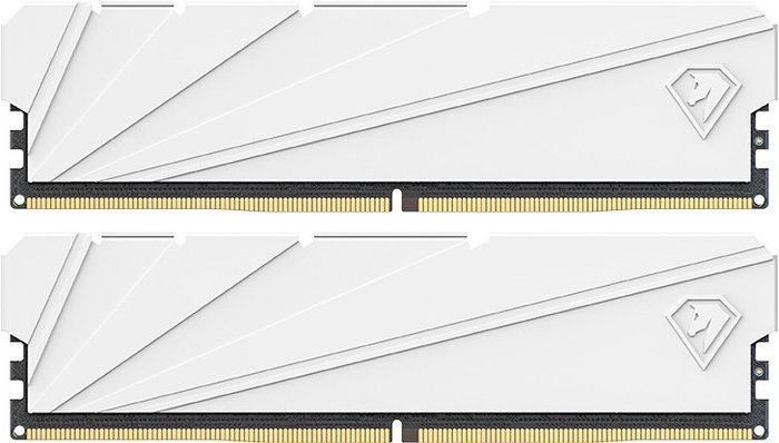 Netac Shadow S 2x8ГБ DDR4 3200 МГц NTSSD4P32DP-16W