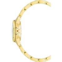 Наручные часы Anne Klein 3212YLGB в Лиде