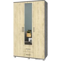 Шкаф распашной Modern Ева Е34 (камень темный/ирландский дуб)