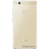 Телефон Huawei P10 Lite 3GB/32GB (золотистый) [WAS-LX1]