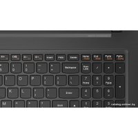 Ноутбук Lenovo IdeaPad S510p (59391664)