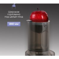 Соковыжималка Zigmund & Shtain ESJ-771