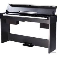 Цифровое пианино Medeli СDP5000 (черный)