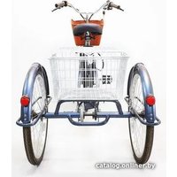 Электровелосипед GreenCamel Trike-24 R24 (250W 48V 15Ah, синий)