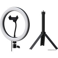 Кольцевая лампа Ritmix RRL-263