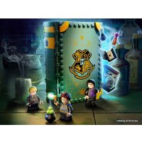 Конструктор LEGO Harry Potter 76383 Учёба в Хогвартсе: Урок зельеварения