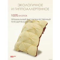 Спальная подушка Espera Home DeLux champagne 3D ЕС-6046 45x65