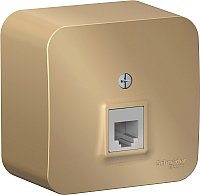 

Розетка телефонная Systeme Electric Blanca BLNIA011004