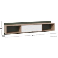 Полка Трия Лео ТД-410.12.21 (гикори джексон/белый матовый/дымчатый зеленый)