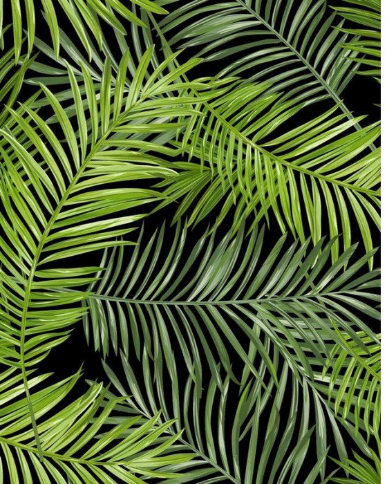 

Фотообои Citydecor Тропические листья 200x254