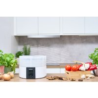 Сушилка для овощей и фруктов Zelmer ZFD2020