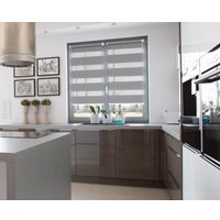 Рулонные шторы Delfa Сантайм День-Ночь Декор МКД DN-45020 (52x160, белый/серебристый)