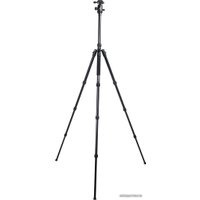 Трипод Raylab Pro 70 (с головой)