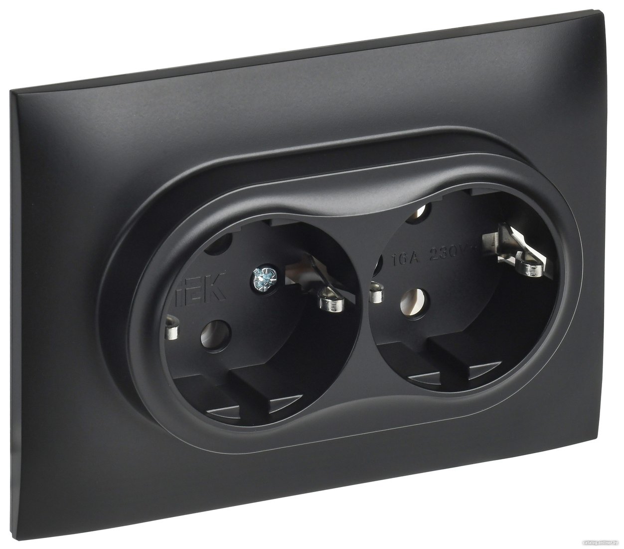 Розетка IEK Skandy SK-R21-16-K02-F