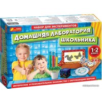 Набор для опытов Ranok-Creative Домашняя лаборатория школьника 1-2 класс 12114063Р