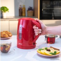 Электрический чайник Zelmer ZCK7616R