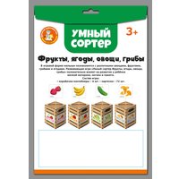 Сортер Десятое королевство Фрукты, ягоды, овощи, грибы 04718