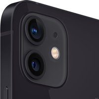 Телефон Apple iPhone 12 64GB (черный)